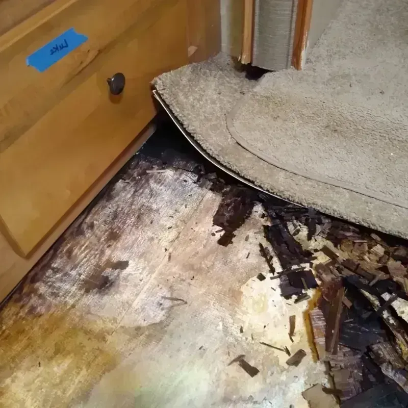 Wood Floor Water Damage in Steele, MO